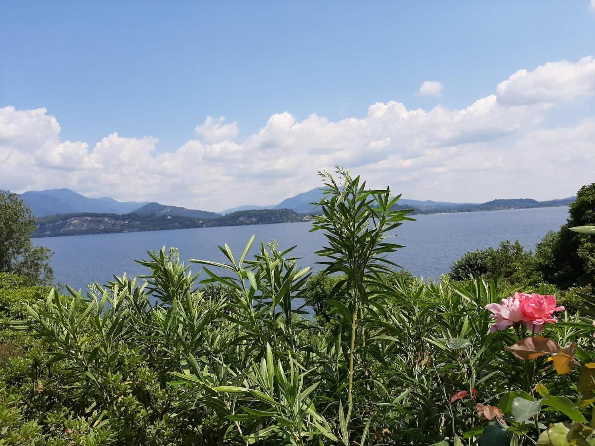 Bmp Apartment Gioiosa 2 Giardino Vista Lago Maggiore Belgirate Exteriér fotografie
