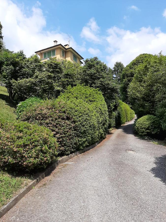 Bmp Apartment Gioiosa 2 Giardino Vista Lago Maggiore Belgirate Exteriér fotografie